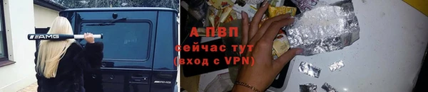 прущие крисы Кодинск
