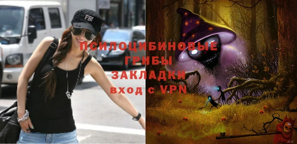 прущие крисы Кодинск