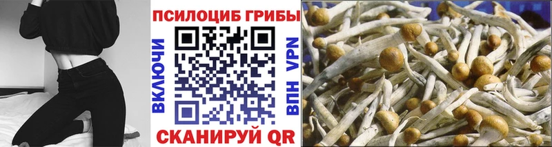 продажа наркотиков Собинка Галлюциногенные грибы мицелий